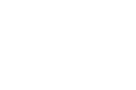 Parallel Digital